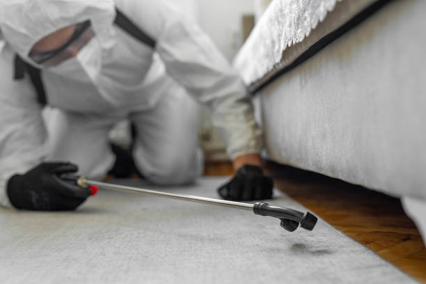 Professional Termite Control technician working in Somerville, TN