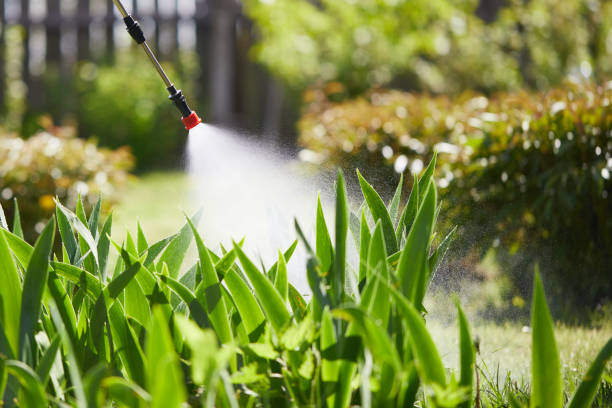 24/7 Emergency Termite Control experts in Somerville, TN