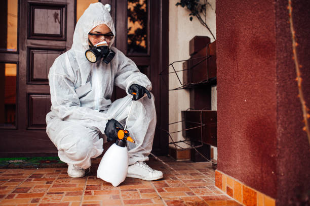 Reliable Termite Control contractor in Somerville, TN by Nex Pest Control