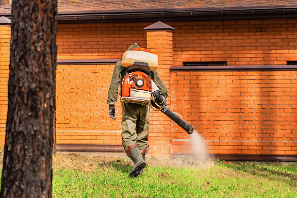 Top rated local Termite Control specialists in Somerville, TN
